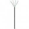 Goobay 57198 kabel sieciowy Czarny 100 m Cat5e U/UTP (UTP)