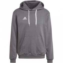 Bluza męska adidas Entrada 22 Hoody szara HB0578 L