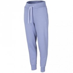 Spodnie damskie 4F denim H4Z22 SPDD351 32S L