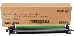 Bęben do drukarki Xerox SC2020 (013R00677) (76k)