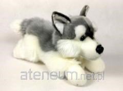 Pies husky 30cm 02882