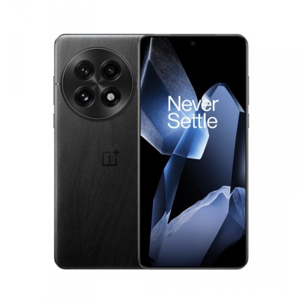 OnePlus 13 5G 12GB/256GB, black (EU) 17,3 cm (6.82&quot;) Dual SIM Android 15 USB Type-C 6000 mAh Czarny