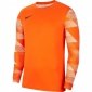 Bluza bramkarska męska Nike Dry Park IV JSY LS GK pomarańczowa CJ6066 819 2XL 