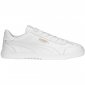 Buty męskie Puma Club 5V5 389406 01 43 