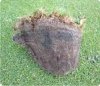 Nawóz do Trawy Jesienny BarFertile Late Barenbrug  60kg