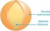 Nawóz do Trawy Wiosenny BarFertile Start Barenbrug 10kg