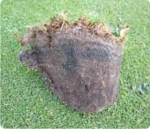 Nawóz do Trawy Jesienny BarFertile Late Barenbrug 10kg