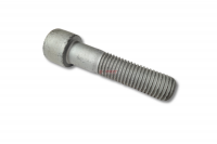 Śruba imbusowa M24x100 kl.12.9 (010-02658) cena/szt. 