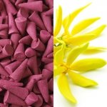 Kadzidełka Stożkowe Ylang Ylang 1 sztuka