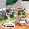 Cyfrowa ramka Kruger&Matz na zdjęcia FRAMEO Wi-Fi 10,1 lustrzana