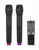 Kolumna aktywna ( z 2 mikrofonami bezprzewodowymi, SD, Bluetooth, USB) 12 40W