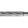 Wiertlo rdzeniowe HKE-L Weldon Wegl.b.dl., 49/110 mm BDS