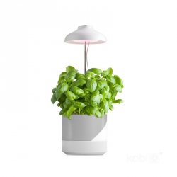 Lampa do roślin LED VERDI 5W 3200K Kobi Design