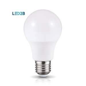Żarówka LED GS 10W E27 6000K LED2B 