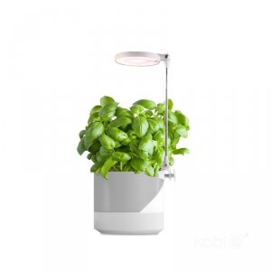 Lampa do roślin LED VERDI 10W 3200K Kobi Design