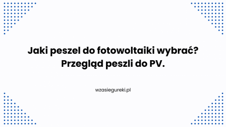 wZasieguReki