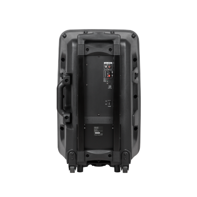 Kolumna aktywna ( z 2 mikrofonami bezprzewodowymi, SD, Bluetooth, USB) 12&quot; 40W