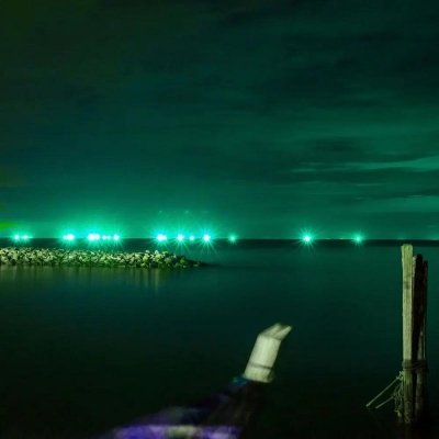 Projektor LED V-TAC 20W SMD E-Series Czarny VT-4021 Kolor Zielony