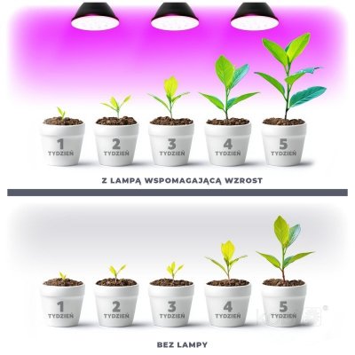 Żarówka do roślin LED PLANTY B 7W E27 1200K czarna Kobi Design