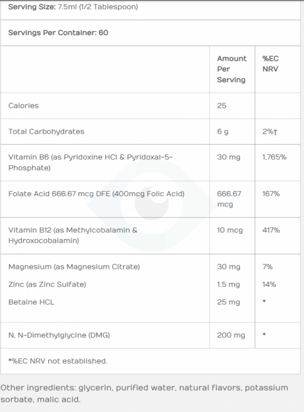 BEHAVIOR BALANCE DMG - syrop 300 ml - DaVinci Laboratories of Vermont