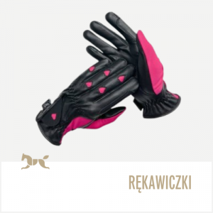 Sklep jeździecki, sprzęt jeździecki, szeroki wybór, przystępne ceny. Bryczesy, kaski, sztyblety, czapraki, derki, ogłowia, suplementy i witaminy dla koni, żywienie specjalistyczne koni, pielęgnacja koni. Ujeżdżenie, skoki, zawody konne, rekreacja, jeździectwo naturalne