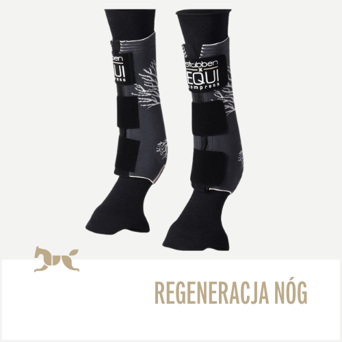 Regeneracja nóg