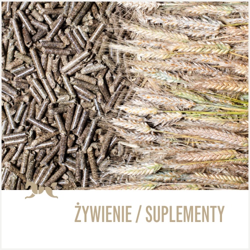Żywienie i suplementy