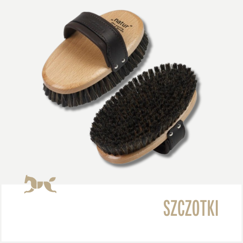 Szczotki