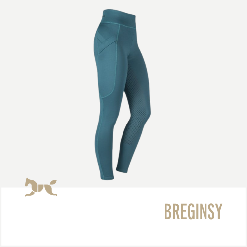 Breginsy