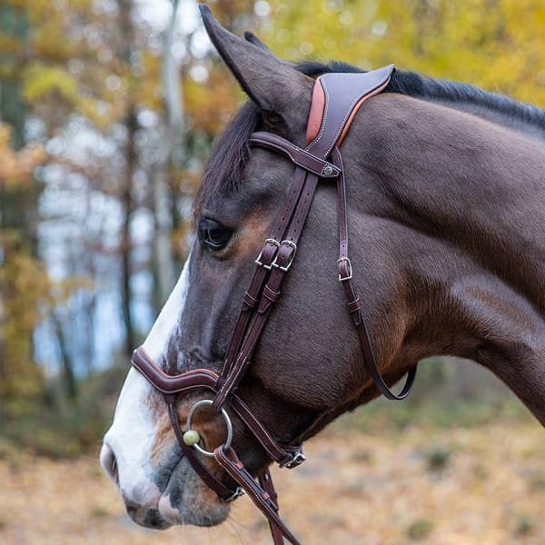 Ogłowie Antares Precision Y noseband BROWN