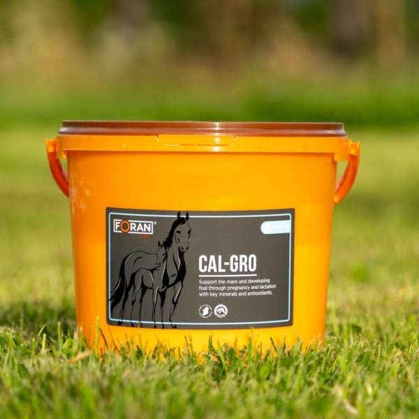 Foran Cal-Gro 3 kg - Suplement w proszku wspierający klacz i rozwijające się źrebię podczas ciąży i laktacji