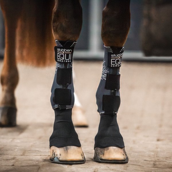 Ochraniacze kompresyjne Stubben Equi Compress Set tył