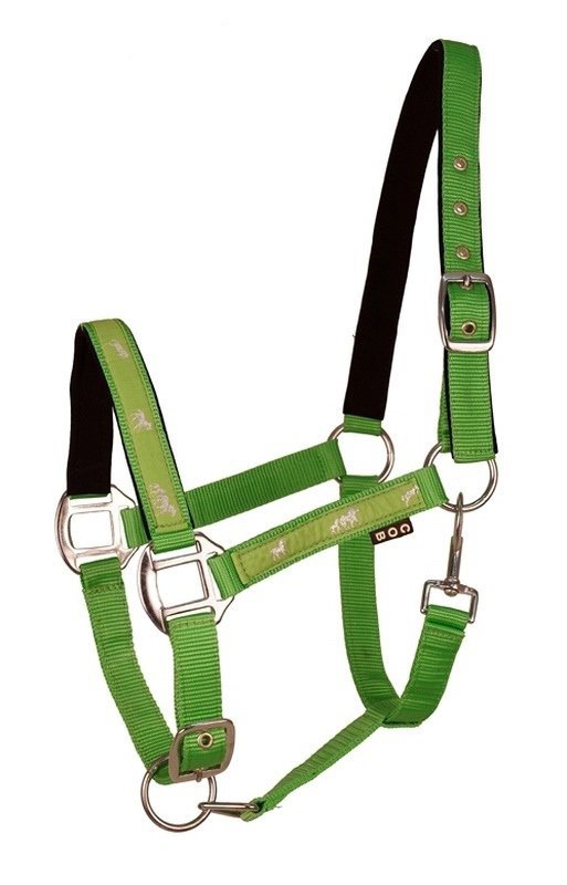 Kantar API Active Horses zielony