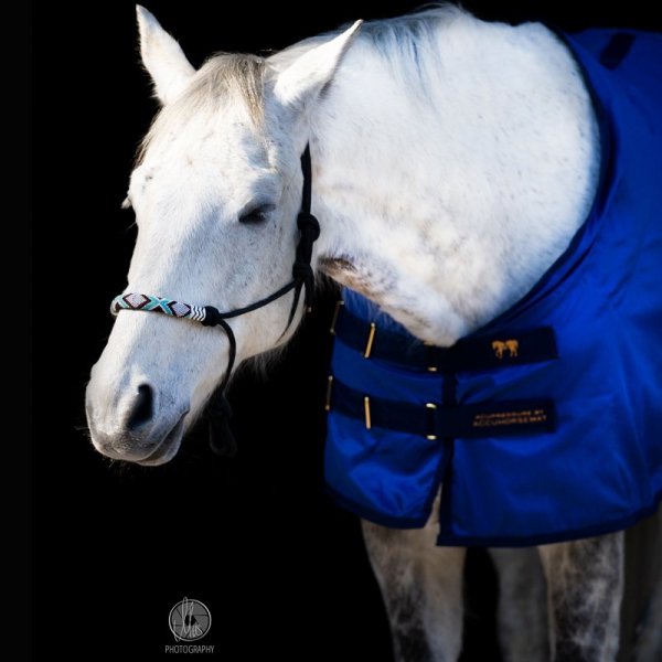 Derka terapeutyczna do akupresury - Accuhorsemat Original