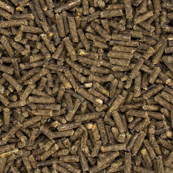 Speed HOOF Boost – zdrowe i mocne kopyta Twojego konia