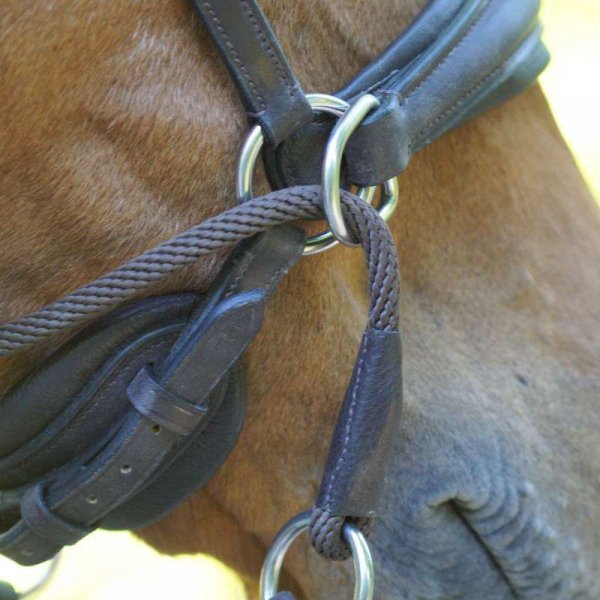 Ogłowie bezwędzidłowe Kavalkade CROSS LIGHT - brązowe