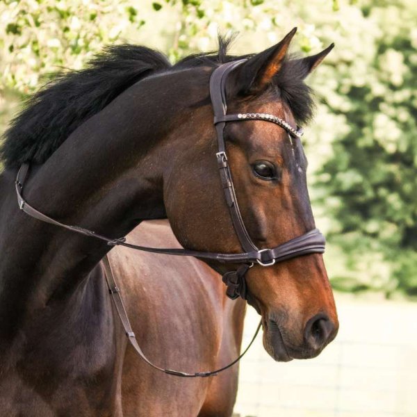 Ogłowie bezwędzidłowe Kavalkade LIGHT - brązowe