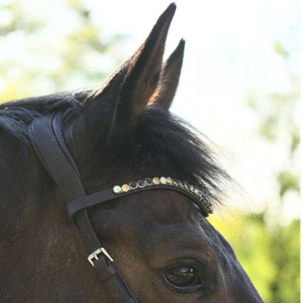 Ogłowie bezwędzidłowe Kavalkade LIGHT - brązowe