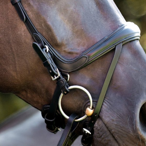 Ogłowie Anatomiczne Kavalkade CAJUS - KavalSH4 - czarne