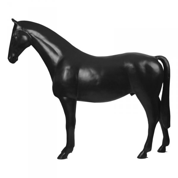 Szelki konne Horka Display Paard Full Size czarne