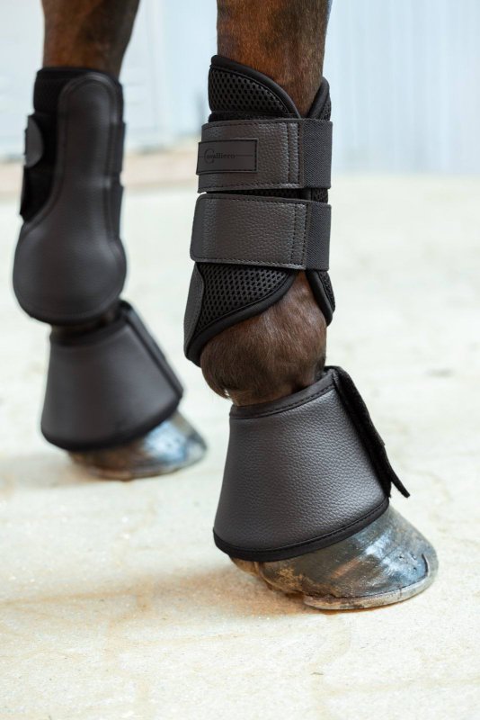 Ochraniacze dla konia Avina, czarny, Covalliero