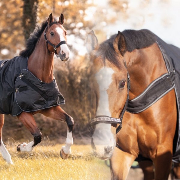 Derka Kavalkade Halifax 2w1 – derka przeciwdeszczowa i do karuzeli - 50g - czarna