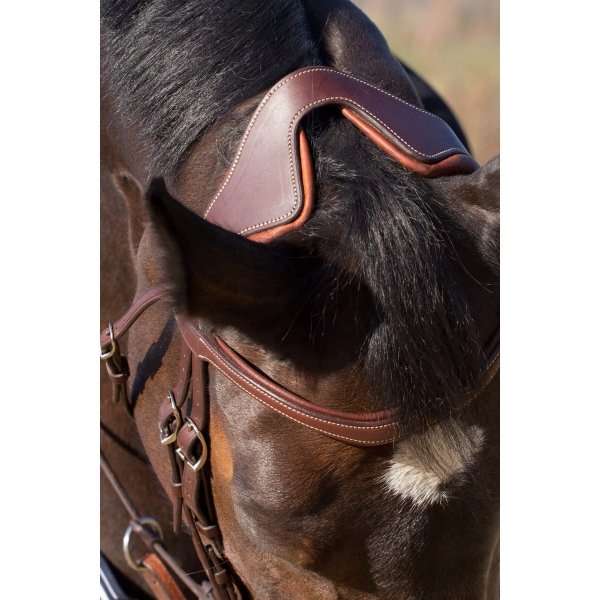 ogłowie-anatomiczne-antares-skórzane-precision-y-noseband-sklep-jeździecki