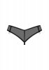 Glandez stringi XL/2XL