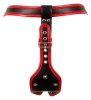 Uprząż Strap-On z 3 dildami XXL Bad Kitty