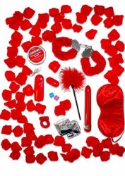Zestaw Zabawek Erotycznych dla Par Red Romance