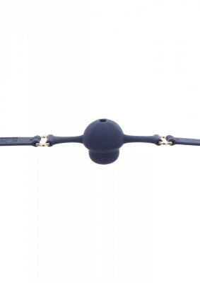 Silicone Mouth Gag Blue
