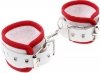 Kinky nurse bondage box