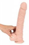 Duże realistyczne dildo penis z jądrami przyssawka 28.5 cm