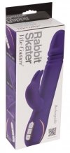 Rabbit skater purple